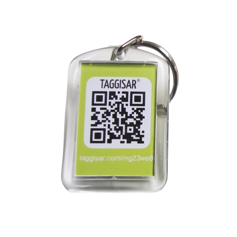 I'm Lost Keyring Green